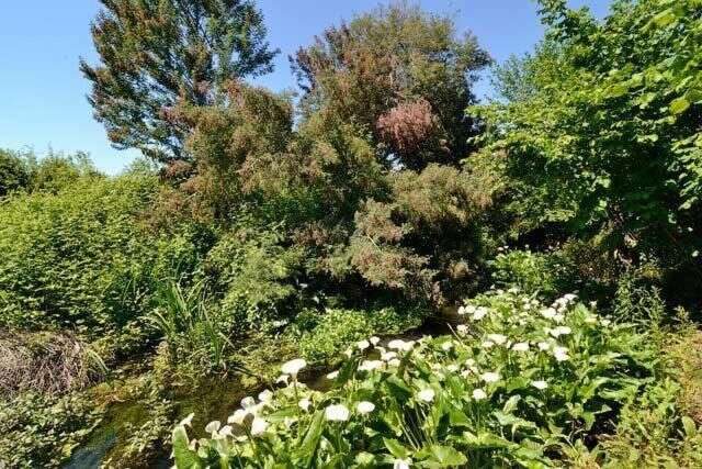 Гостевой дом РАЙСКИЙ ОСТРОВОК Гагра-18