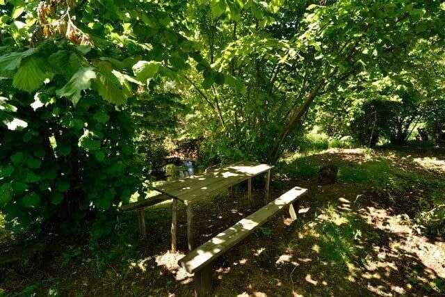 Гостевой дом РАЙСКИЙ ОСТРОВОК Гагра-11